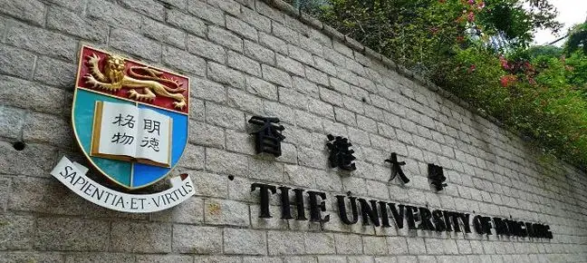 从高考文科省前50到香港大学再到中环金融打工人,我后悔了吗? 第15张 从高考文科省前50到香港大学再到中环金融打工人,我后悔了吗? 第15张