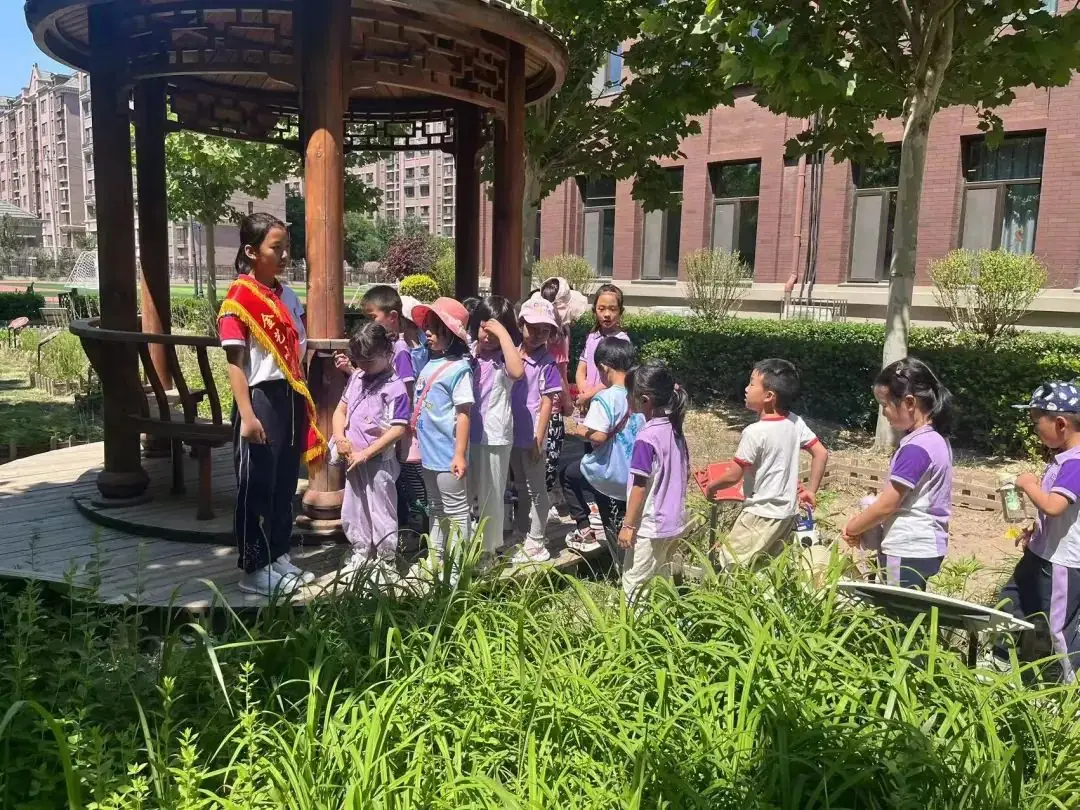 初探小学 共绘成长——金艺小学携手恒逸华庭幼儿园开展幼小衔接活动 第26张 初探小学 共绘成长——金艺小学携手恒逸华庭幼儿园开展幼小衔接活动 第26张
