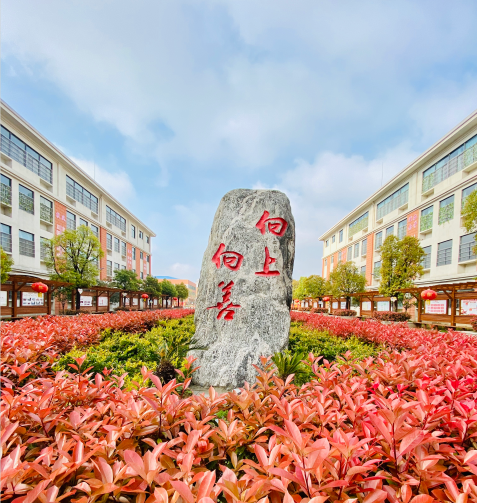 【实小教育集团】阜阳市实验小学教育集团第十四周工作计划 第6张 【实小教育集团】阜阳市实验小学教育集团第十四周工作计划 第6张