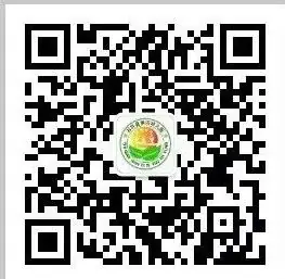 【幼小衔接】初探小学  幼见成长——石阡县第四幼儿园参观小学活动 第82张
