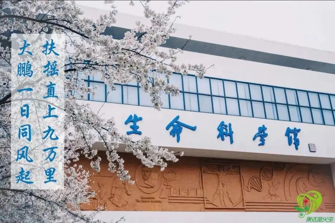高考倒计时十天|“10”光正好,少年圆梦! 第4张 高考倒计时十天|“10”光正好,少年圆梦! 第4张