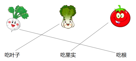【每日一练】可打印丨小学语文1-6年级基础+阅读每日一练,提高成绩见效快! 第6张 【每日一练】可打印丨小学语文1-6年级基础+阅读每日一练,提高成绩见效快! 第6张