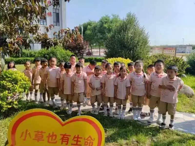 初探小学,礼遇成长——南皋店幼儿园 第26张 初探小学,礼遇成长——南皋店幼儿园 第26张