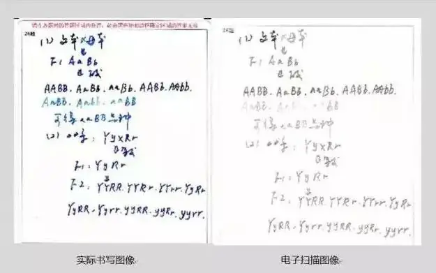 24年中高考答题卡“大变样”?这些填涂方式全部0分! 第31张