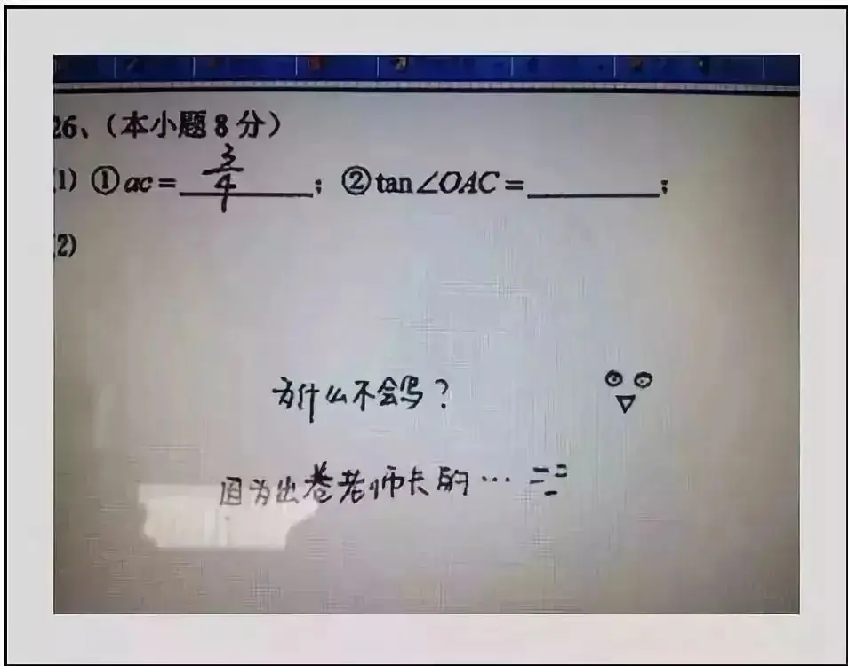 中考试卷扫描后啥样?评卷误差咋回事? 第7张