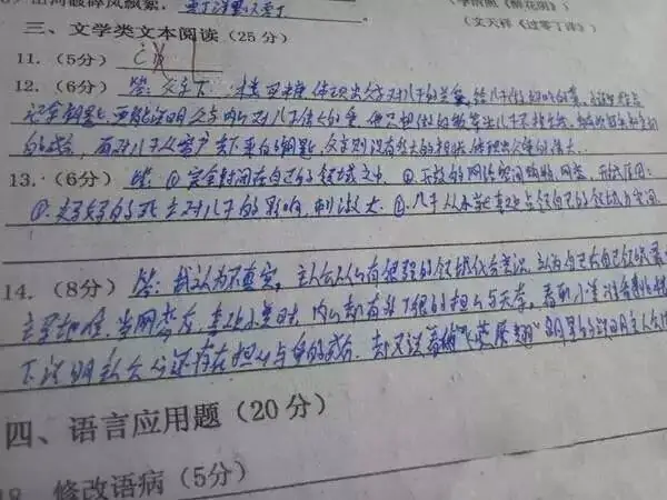 中考试卷扫描后啥样?评卷误差咋回事? 第17张