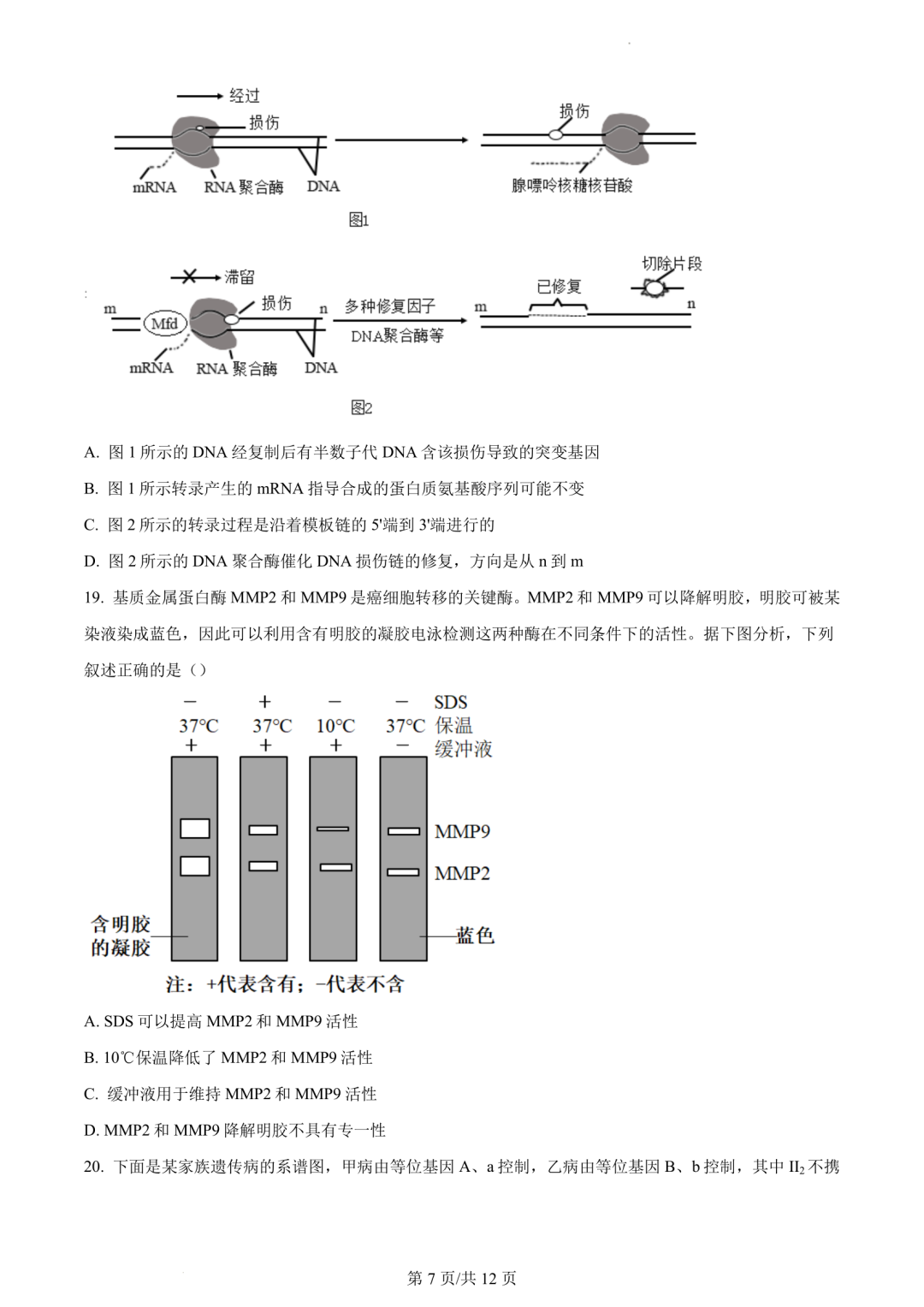 【高考真题】2023年辽宁省高考试题+答案(化学 生物 地理 政治) 第20张 【高考真题】2023年辽宁省高考试题+答案(化学 生物 地理 政治) 第20张