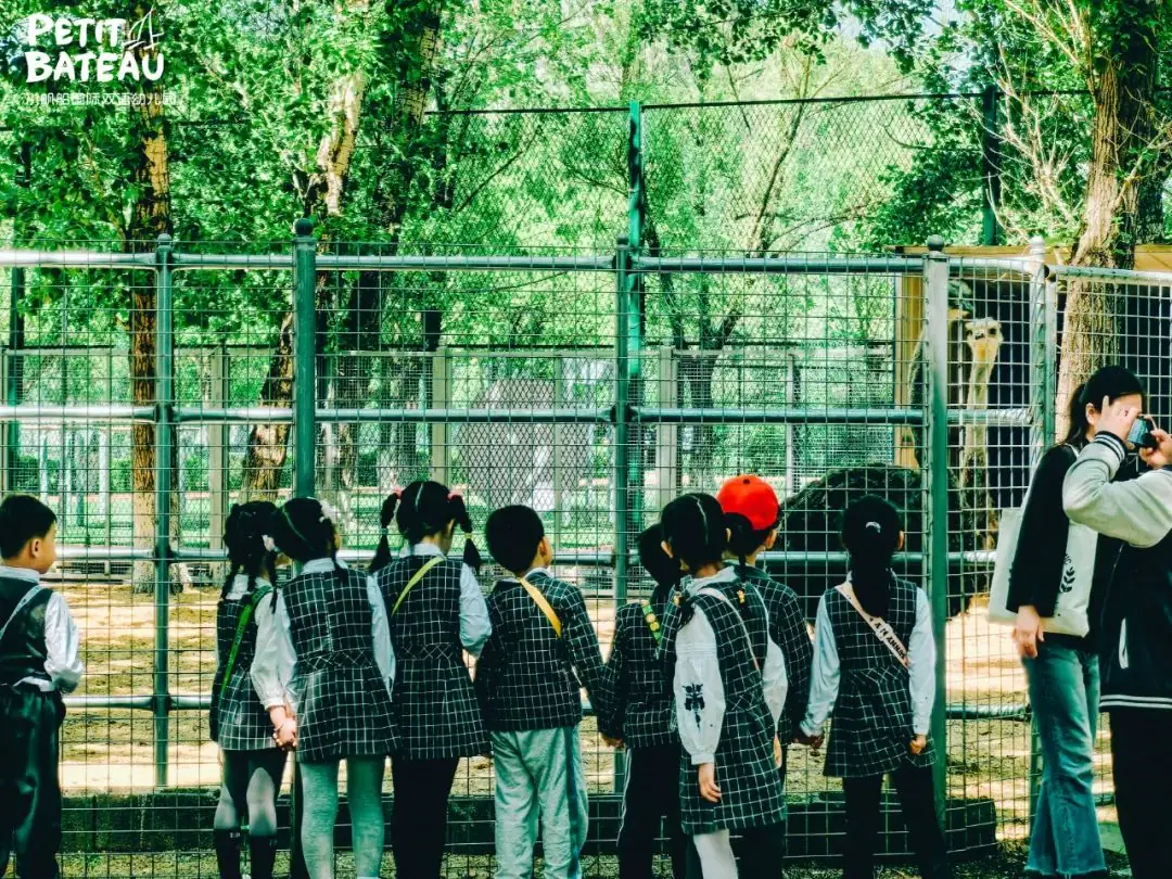 小学零距离,成长初体验——小帆船幼儿园走进育才小学国际部 第25张 小学零距离,成长初体验——小帆船幼儿园走进育才小学国际部 第25张