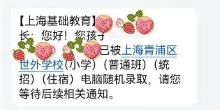 5区小学全部超额摇号!上海幼升小16区民办小学摇号结果出炉! 第5张 5区小学全部超额摇号!上海幼升小16区民办小学摇号结果出炉! 第5张