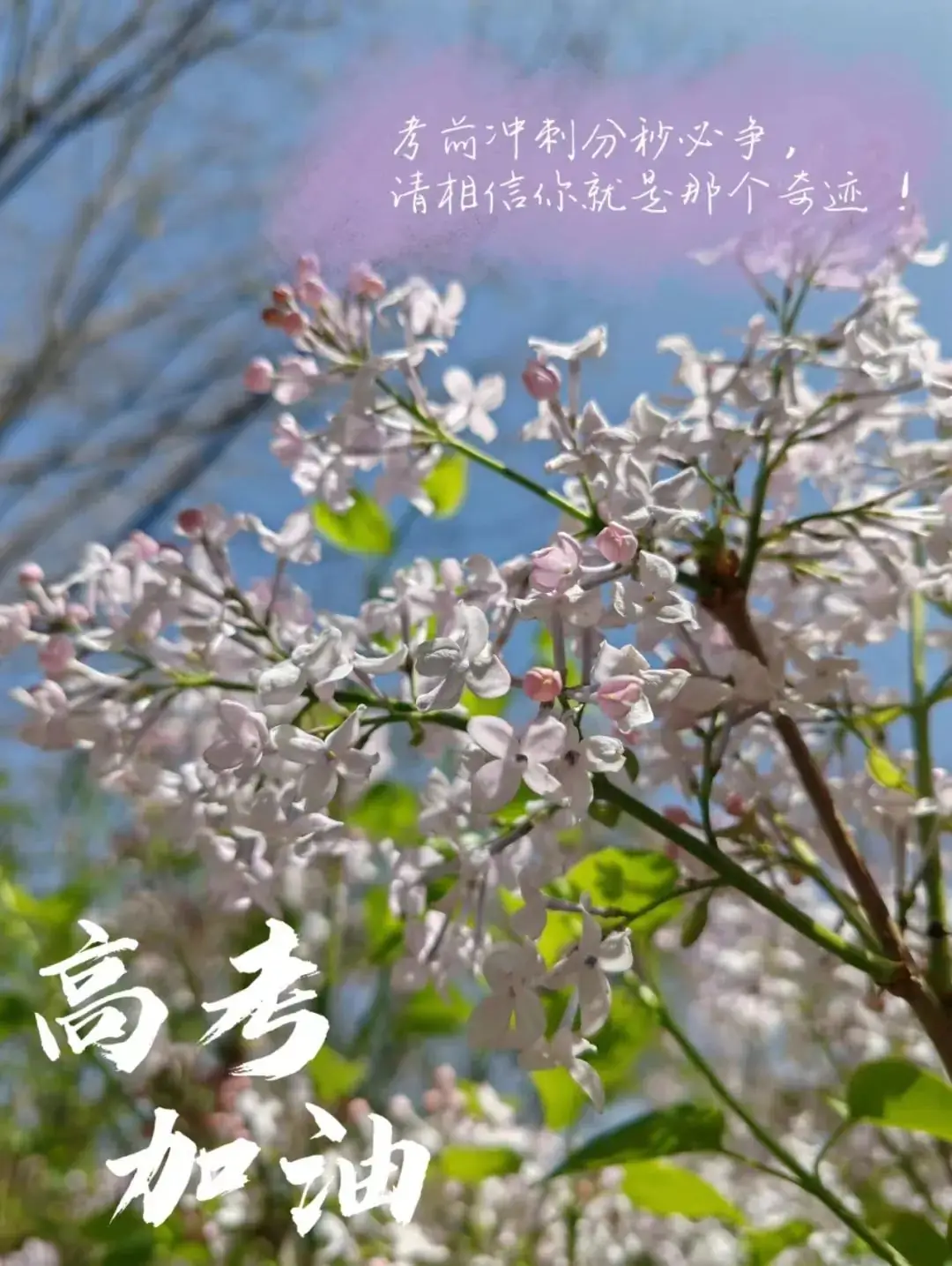高考倒计时10天 | 奋力飞翔,路在脚下 第3张 高考倒计时10天 | 奋力飞翔,路在脚下 第3张