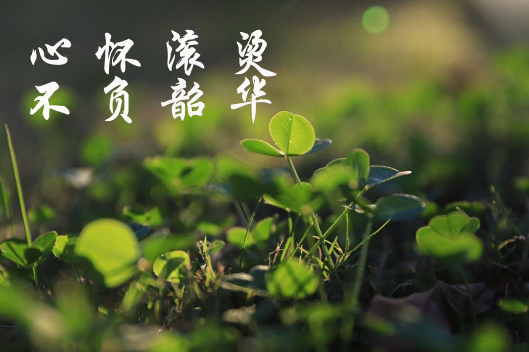 高考倒计时10天 | 决战高考,蓄“10”待发! 第13张 高考倒计时10天 | 决战高考,蓄“10”待发! 第13张