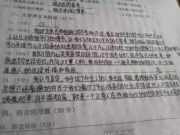 中考试卷扫描后啥样?评卷误差咋回事? 第20张