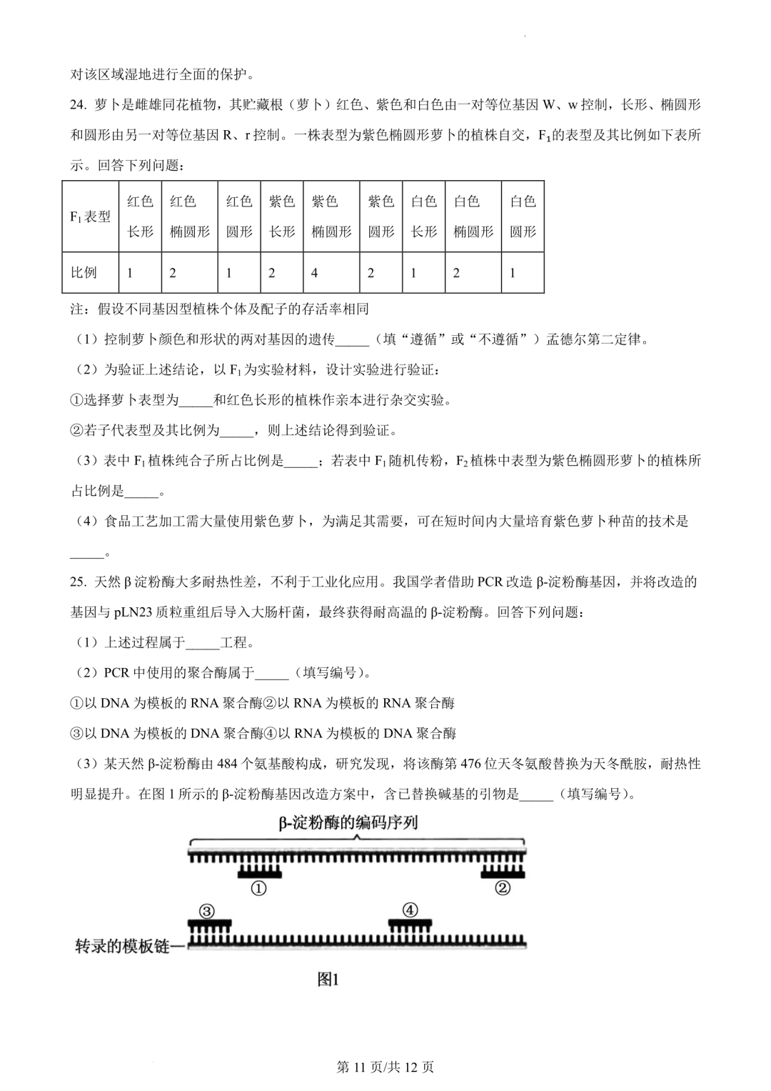 【高考真题】2023年辽宁省高考试题+答案(化学 生物 地理 政治) 第24张 【高考真题】2023年辽宁省高考试题+答案(化学 生物 地理 政治) 第24张