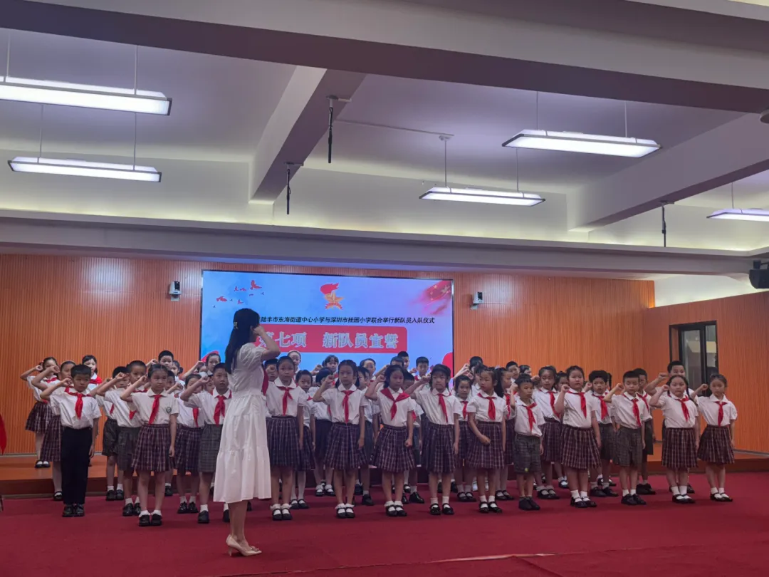 红领巾爱祖国——陆丰市东海街道中心小学、深圳市罗湖区桂园小学联合举行2024年新队员入队仪式 第56张 红领巾爱祖国——陆丰市东海街道中心小学、深圳市罗湖区桂园小学联合举行2024年新队员入队仪式 第56张