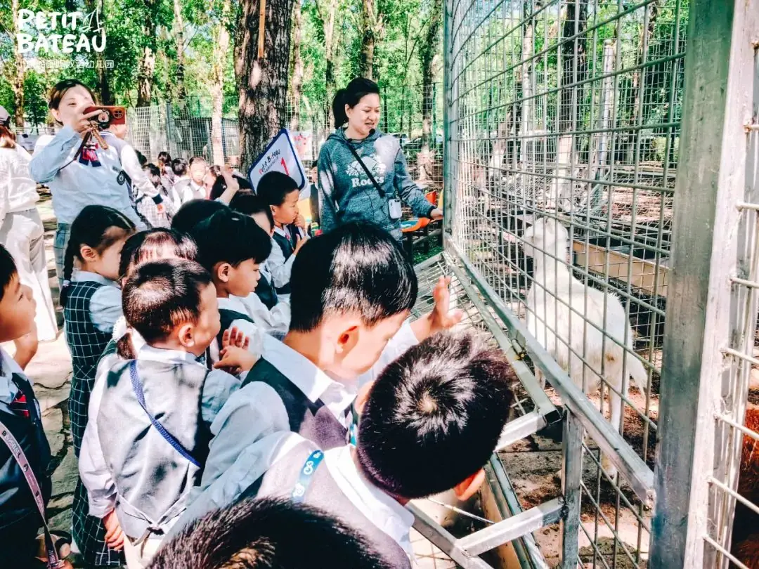 小学零距离,成长初体验——小帆船幼儿园走进育才小学国际部 第24张 小学零距离,成长初体验——小帆船幼儿园走进育才小学国际部 第24张