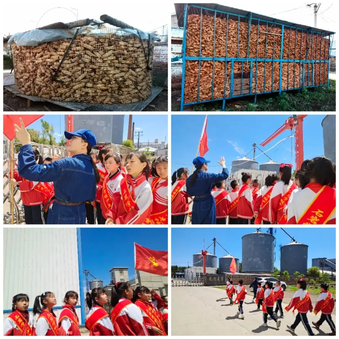 各小学结合入队仪式开展“红领巾”爱祖国系列活动 第4张 各小学结合入队仪式开展“红领巾”爱祖国系列活动 第4张