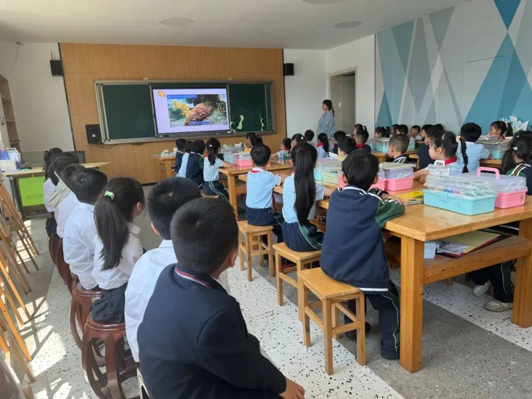 【澄.课程】澄娒娒“趣”小学——大班段《走向小学》主题探究故事 第55张 【澄.课程】澄娒娒“趣”小学——大班段《走向小学》主题探究故事 第55张