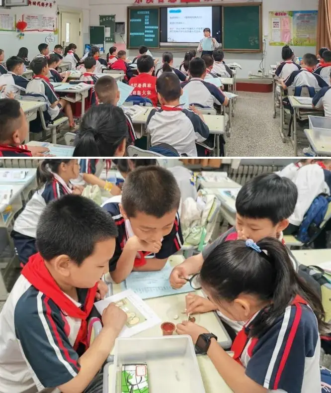 跨科融合 启迪未来——杨家峪联校伞儿树小学跨学科融合教研活动-第8张图片-四季读书网 跨科融合 启迪未来——杨家峪联校伞儿树小学跨学科融合教研活动-第8张图片-四季读书网