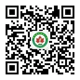 枫树小学:啦啦操勇夺桂冠!-第28张图片-四季读书网 枫树小学:啦啦操勇夺桂冠!-第28张图片-四季读书网