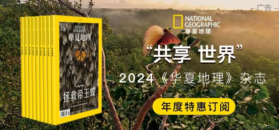 端午高考季特惠!来自五台山的原创福品,珠玉多宝,流光溢彩,不排队也能买! 第53张 端午高考季特惠!来自五台山的原创福品,珠玉多宝,流光溢彩,不排队也能买! 第53张