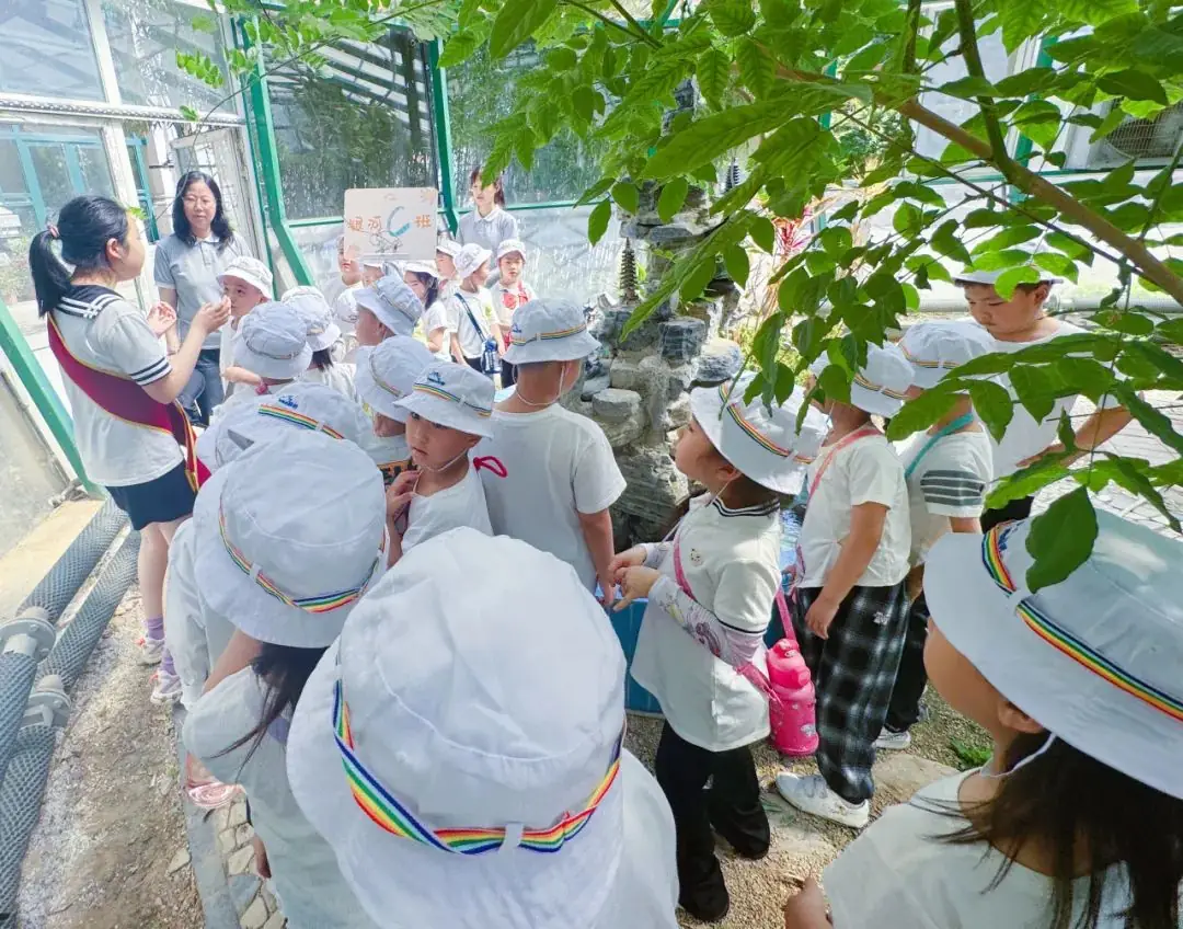 你好小学,我们来啦! 第31张 你好小学,我们来啦! 第31张