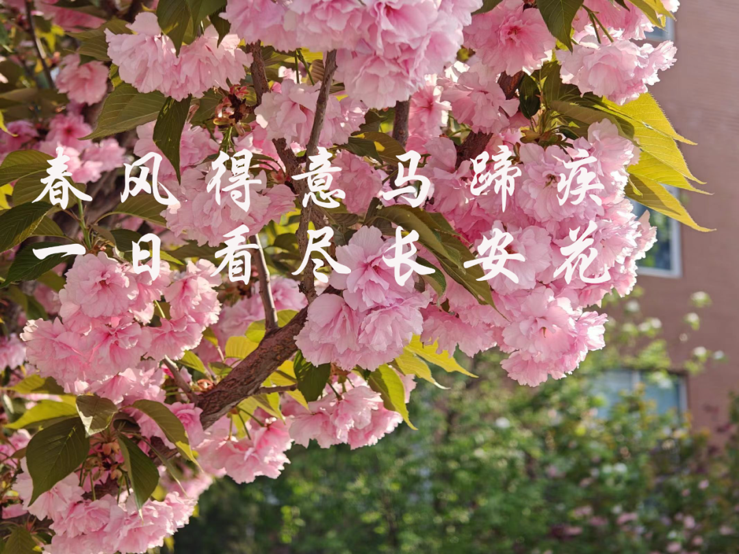 高考倒计时10天 | 决战高考,蓄“10”待发! 第9张 高考倒计时10天 | 决战高考,蓄“10”待发! 第9张