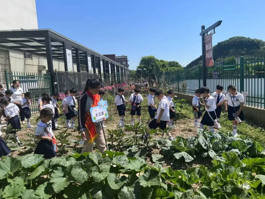 走进小学,体验成长——东钱湖大地幼儿园大班幼小衔接活动花絮-第41张图片-四季读书网