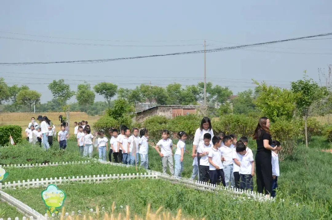 小幼共研话衔接  双向奔赴促成长——汪群小学、汪群幼儿园联合开展小幼衔接暨小幼课程研讨活动 第21张