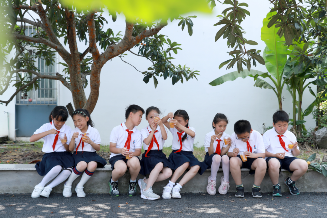 “巧手酿清甜,枇杷享清韵”——塘南小学李家桥校区枇杷节系列实践活动:枇杷罐头制作 第18张 “巧手酿清甜,枇杷享清韵”——塘南小学李家桥校区枇杷节系列实践活动:枇杷罐头制作 第18张