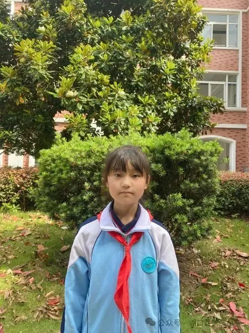 湖口县第二小学2024年新时代好少年风采展示(低段) 第12张 湖口县第二小学2024年新时代好少年风采展示(低段) 第12张