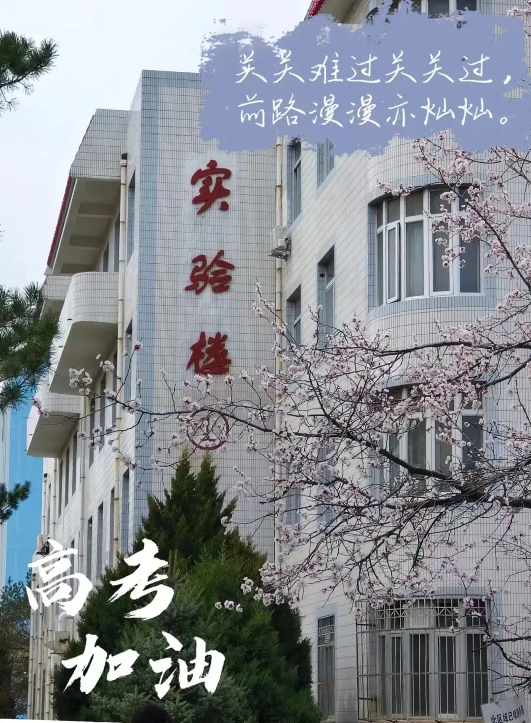 高考倒计时10天 | 奋力飞翔,路在脚下 第4张 高考倒计时10天 | 奋力飞翔,路在脚下 第4张