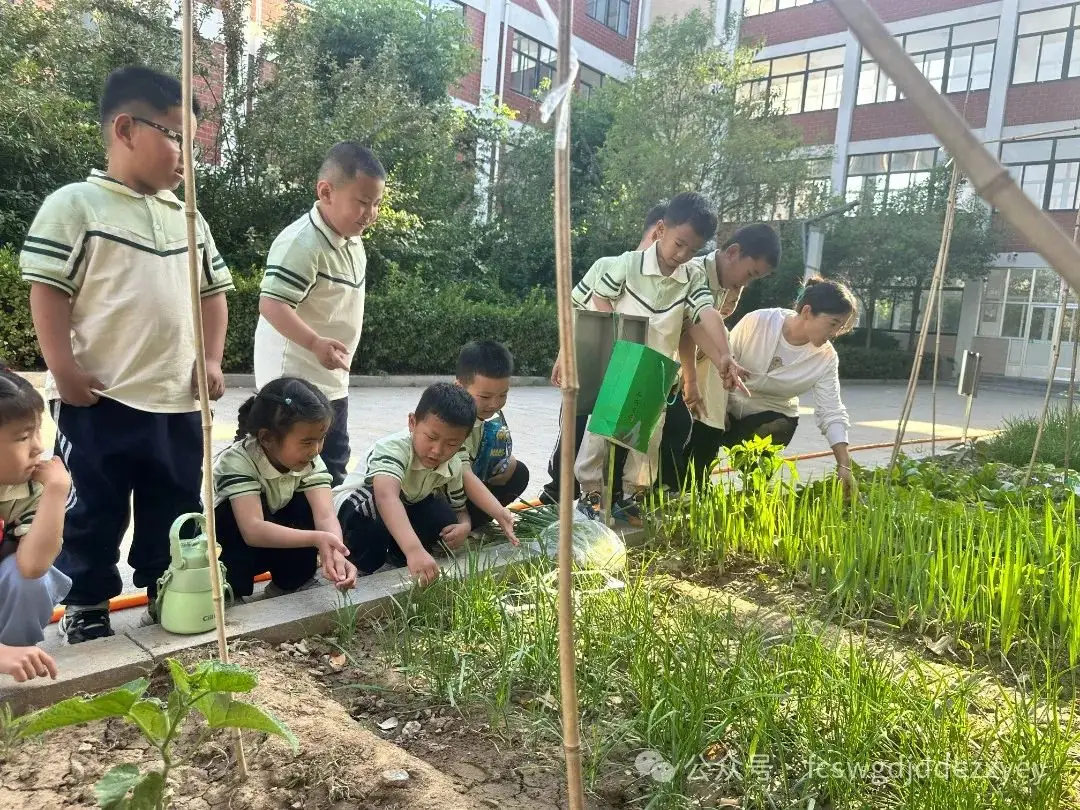 【小学初体验,衔接共成长】王瓜店街道第二中心幼儿园开展“守护育幼底线,成就美好童年”幼小衔接活动 第96张 【小学初体验,衔接共成长】王瓜店街道第二中心幼儿园开展“守护育幼底线,成就美好童年”幼小衔接活动 第96张