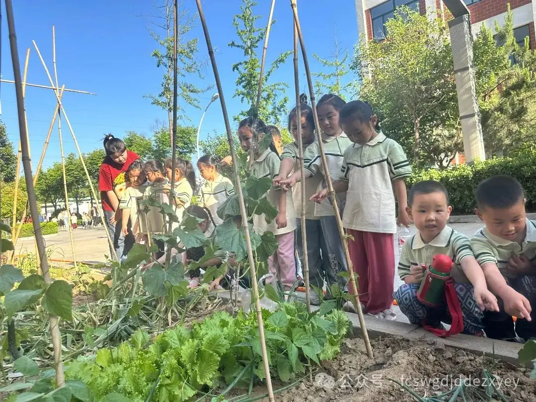 【小学初体验,衔接共成长】王瓜店街道第二中心幼儿园开展“守护育幼底线,成就美好童年”幼小衔接活动 第95张 【小学初体验,衔接共成长】王瓜店街道第二中心幼儿园开展“守护育幼底线,成就美好童年”幼小衔接活动 第95张
