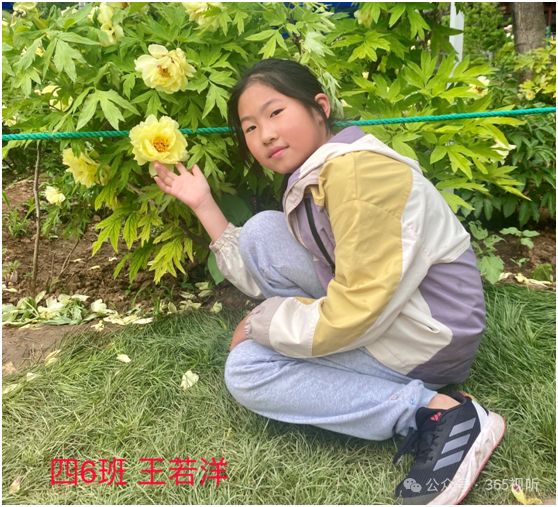 平顺县实验小学四年级写作成果展示:半命题作文 游——— 第18张 平顺县实验小学四年级写作成果展示:半命题作文 游——— 第18张