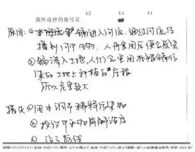 中考试卷扫描后啥样?评卷误差咋回事? 第10张