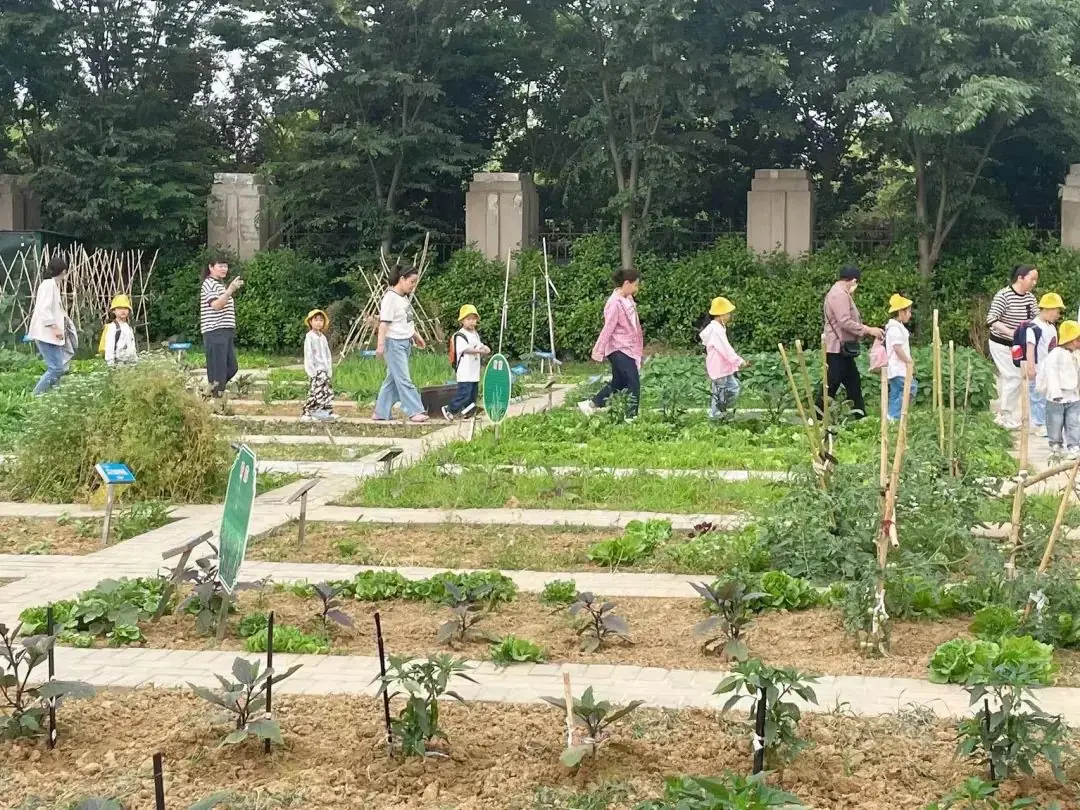 【乐趣课程】初探小学 礼遇成长——西塘丽景幼儿园幼小衔接之走进秀夫小学 第27张 【乐趣课程】初探小学 礼遇成长——西塘丽景幼儿园幼小衔接之走进秀夫小学 第27张