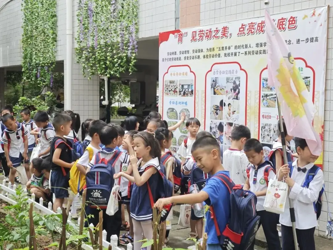 小学初体验,衔接助成长——龙南市龙洲小学幼小衔接之参观校园活动 第17张