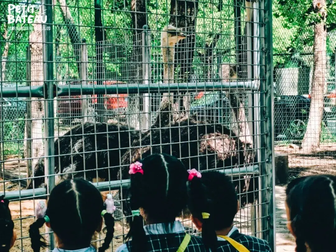 小学零距离,成长初体验——小帆船幼儿园走进育才小学国际部 第26张 小学零距离,成长初体验——小帆船幼儿园走进育才小学国际部 第26张