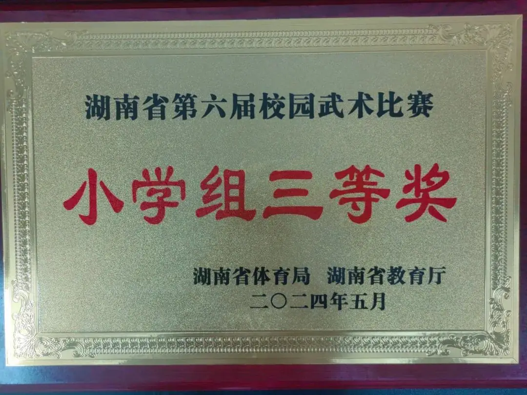 【喜报】热烈祝贺长沙县松雅湖第二小学在湖南省第六届校园武术比赛中喜获佳绩 第5张 【喜报】热烈祝贺长沙县松雅湖第二小学在湖南省第六届校园武术比赛中喜获佳绩 第5张