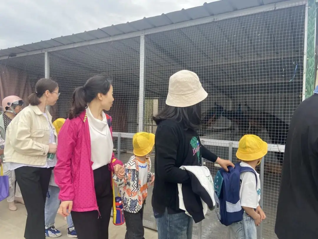 【乐趣课程】初探小学 礼遇成长——西塘丽景幼儿园幼小衔接之走进秀夫小学 第26张 【乐趣课程】初探小学 礼遇成长——西塘丽景幼儿园幼小衔接之走进秀夫小学 第26张