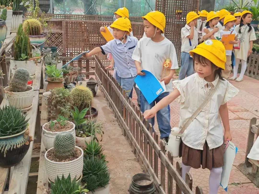 【时光长廊】 “趣”探小学, “幼”见成长 | 记泰顺县三魁镇第二幼儿园2023学年第二学期大班参观小学活动 第55张
