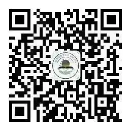 【校园之窗】大王镇小学:县精神文明办公室联合教体局到校开展“五课下乡.携手成长”志愿服务活动 第12张 【校园之窗】大王镇小学:县精神文明办公室联合教体局到校开展“五课下乡.携手成长”志愿服务活动 第12张