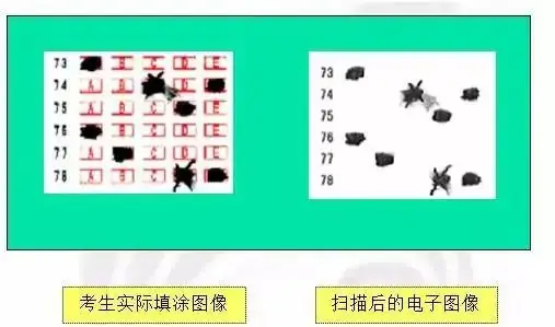 24年中高考答题卡“大变样”?这些填涂方式全部0分! 第17张
