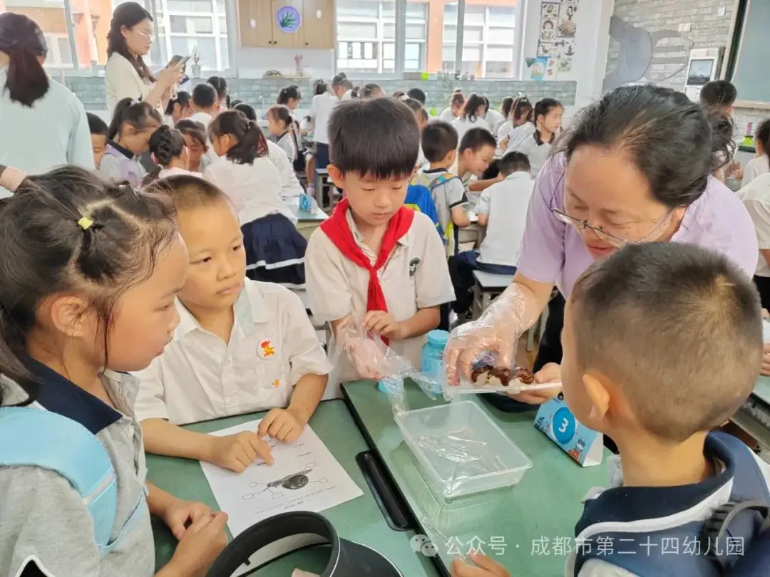【园点动态】初探小学·礼遇成长 第36张