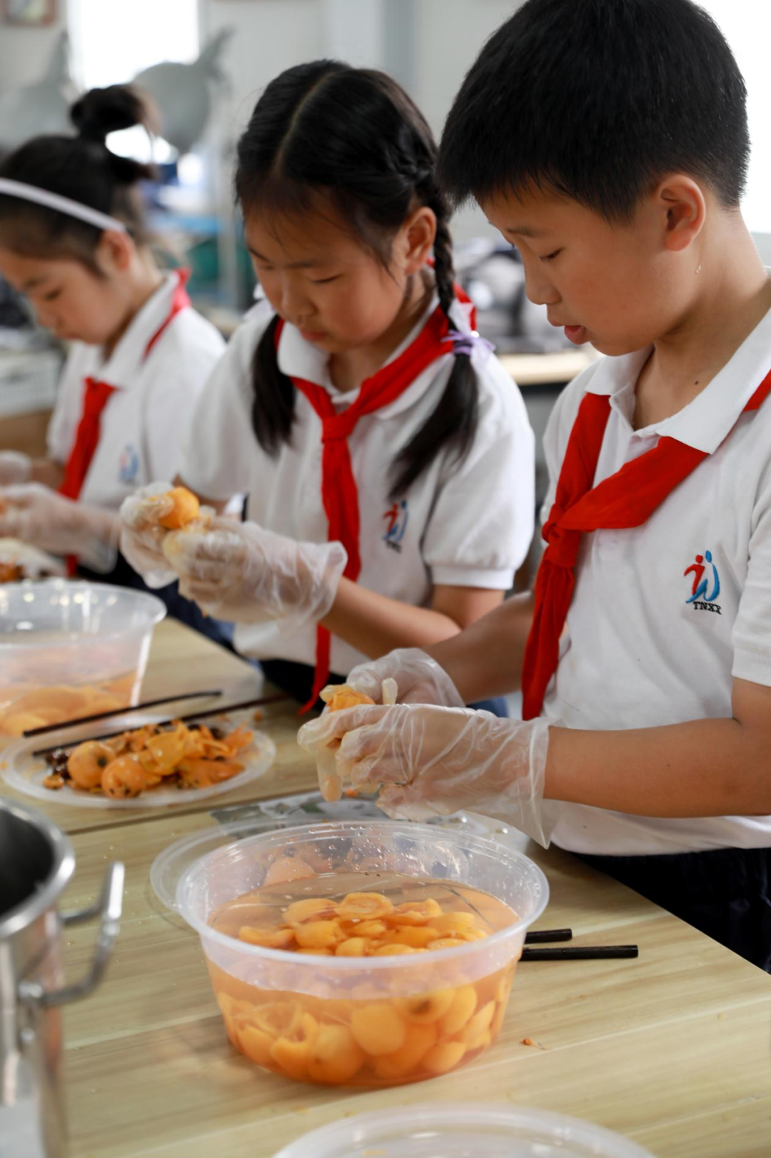 “巧手酿清甜,枇杷享清韵”——塘南小学李家桥校区枇杷节系列实践活动:枇杷罐头制作 第10张 “巧手酿清甜,枇杷享清韵”——塘南小学李家桥校区枇杷节系列实践活动:枇杷罐头制作 第10张