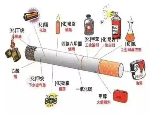 【筵宾镇中心小学|全环境树人】珍爱生命,拒绝烟草 第3张 【筵宾镇中心小学|全环境树人】珍爱生命,拒绝烟草 第3张
