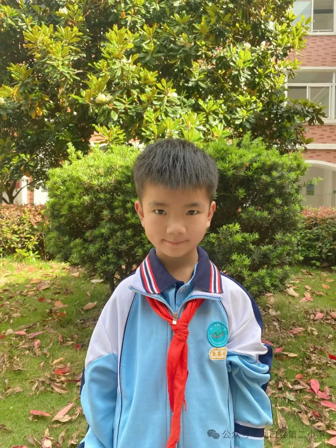 湖口县第二小学2024年新时代好少年风采展示(低段) 第11张 湖口县第二小学2024年新时代好少年风采展示(低段) 第11张