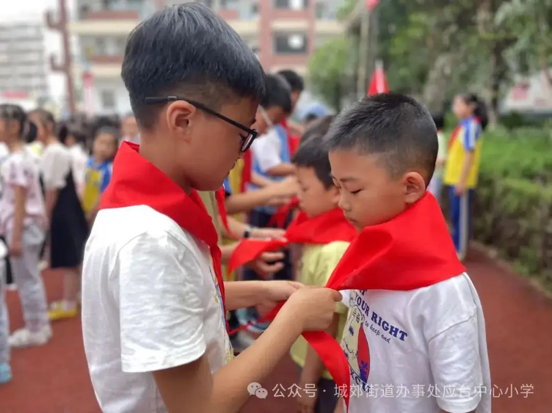 城郊应台小学:红领巾添彩,新队员入队 第4张