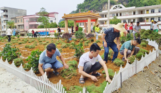 云浮地区 两村因小学旧址,多次险发生械斗... 第1张 云浮地区 两村因小学旧址,多次险发生械斗... 第1张
