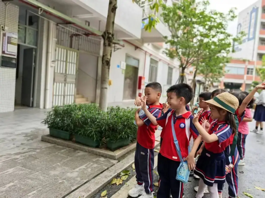 初探小学“幼”见成长——大沥佰星幼儿园走进盐步中心小学幼小衔接活动 第24张